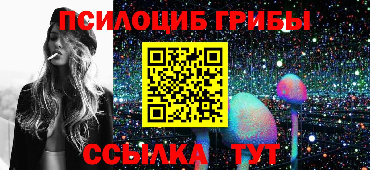 Псилоцибиновые грибы мицелий  Вход с VPN  Шахты  Псилоцибиновые грибы Psilocybine cubensis 