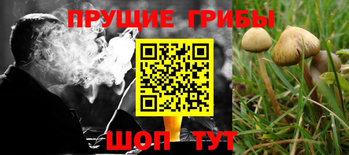 Псилоцибиновые грибы ЛСД Шахты